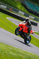 Middle Group Orange Bikes